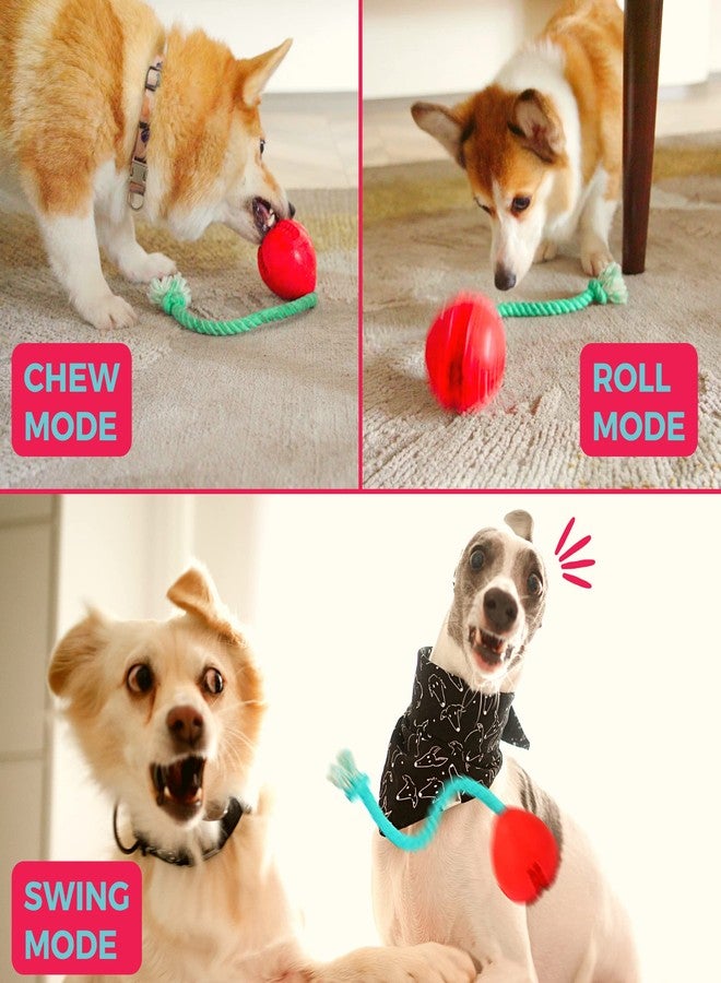 Fossa Interactive Dog Toys, Crate Training Aids for Puppies, Puzzle Treat Dispenser with Rope, Multifunctional Dog Toys - for Reduce Dog Boredom and Anxiety, Dog Teeth Cleaning and Chew Toy - Image 4
